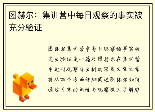 图赫尔：集训营中每日观察的事实被充分验证